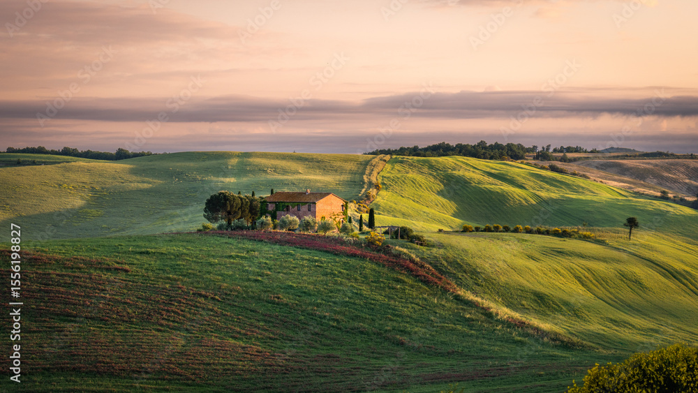 Fototapeta premium Dawn in Tuscany, Italy