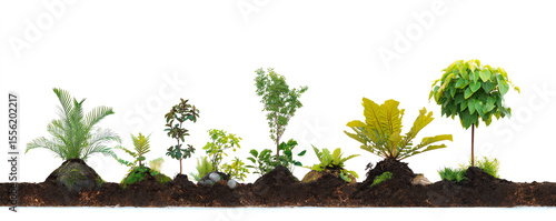 Diverse portfolio of plants showcases balance in nature beauty and growth