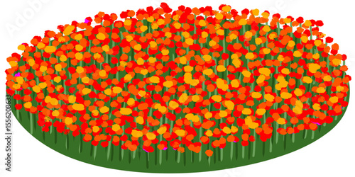 red and yellow flowers 
