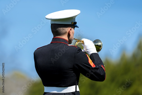 Foto Honoring the Fallen: A Marine's Tribute at National Military Cemetery