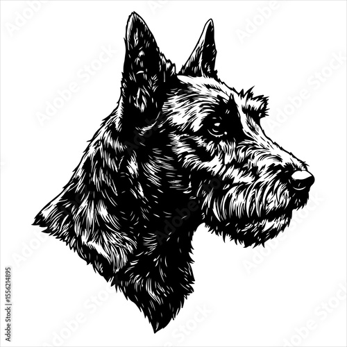head Scottish dog pet portrait engraving intricate retro hand drawn style line art black and white vector illustration, isolated on white background