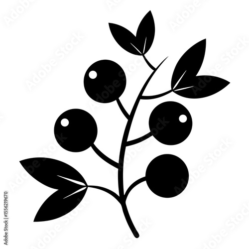 black and white flower
