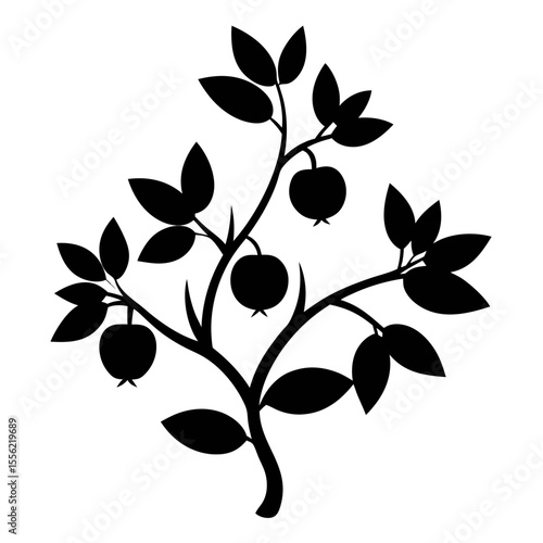black and white flower