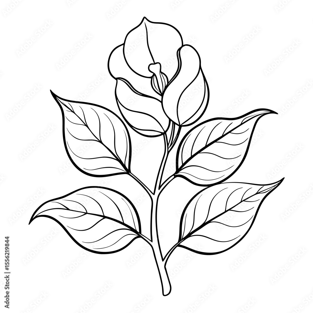 Obraz premium vector black and white flower
