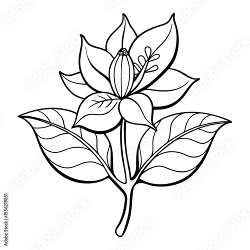 black and white flower