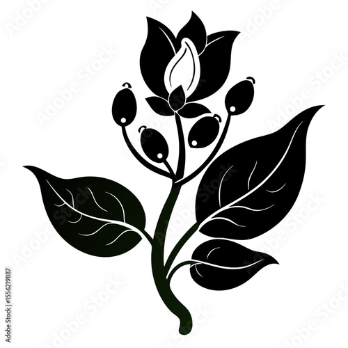 Black and white flower