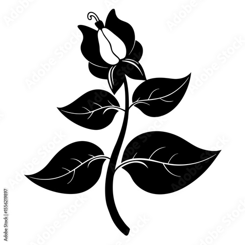 Black and white flower