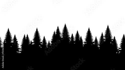 Black silhouette of coniferous forest on white background


