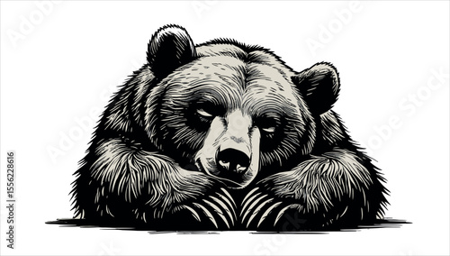 A black and white drawing of a bear
