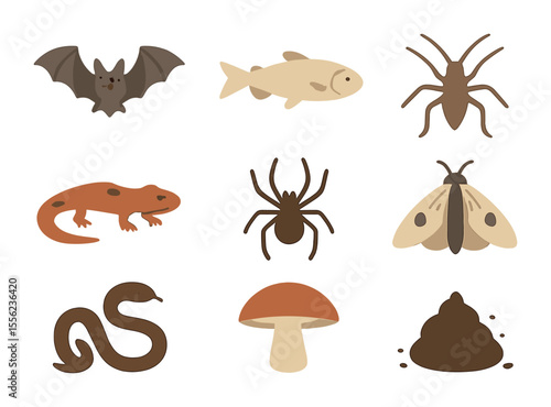 Cave Wildlife Icons. Flat icon set of cave wildlife: bat, blind fish, cave cricket, salamander, spider, moth,