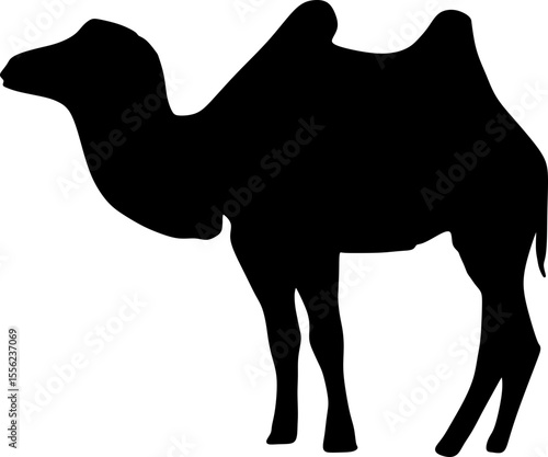 *camel silhouettes* , black and white silhouettes of camels in various poses and positions. Some camels are standing, some are walking, and some have riders on their backs. scientific name