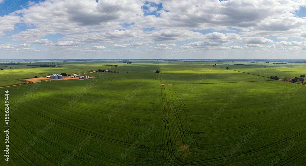 Obraz premium Rolling soybean fields under expansive skies in the agricultural region of Mato Grosso, with traces of machinery and rural infrastructure — agribusiness in Brazil