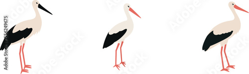 Stork vector set. Isolated stork vector Stork icon  stork  logo Stork silhouette  illustration  on white background