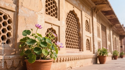 Potted plant with purple flowers in front of a traditional building with intricate lattice windows