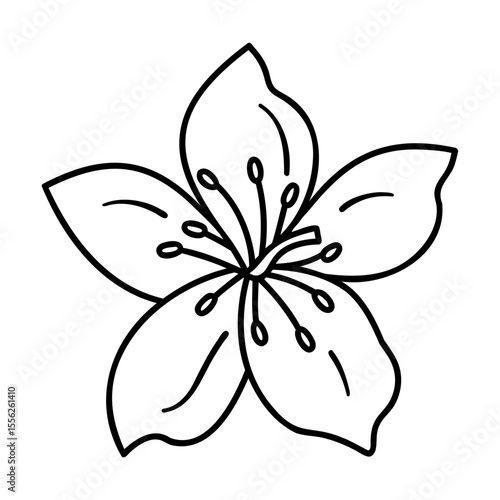 Black line art flower blossom with five petals on white background