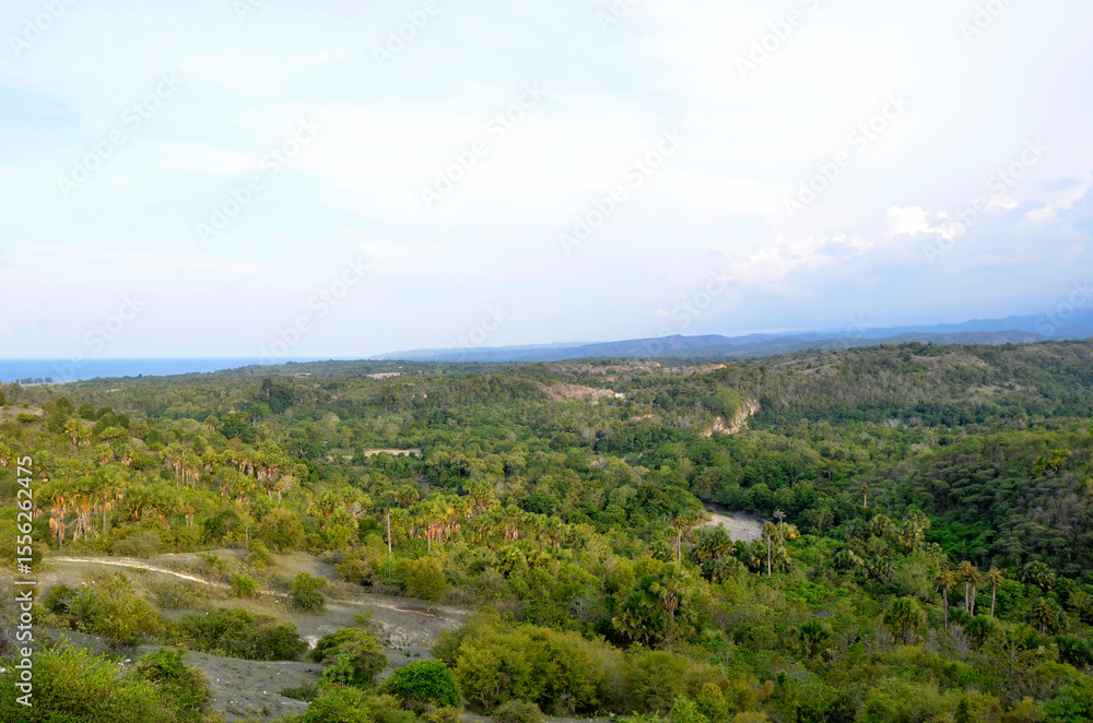 mountain landscape with trees mountain landscape with trees