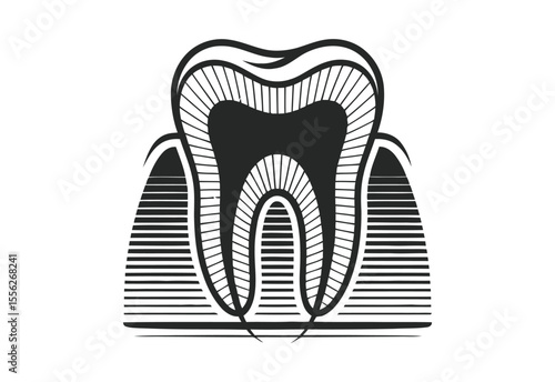 Stylized black and white illustration of a human tooth cross section with roots