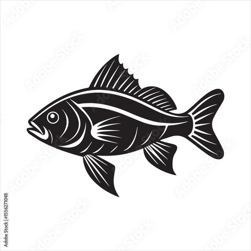 basa sea fish vector illustration