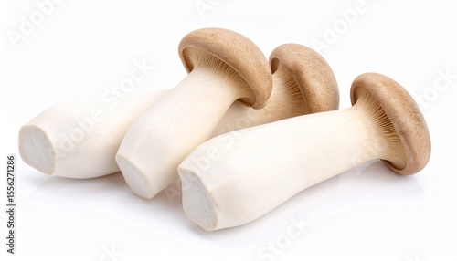 mushrooms on a white background