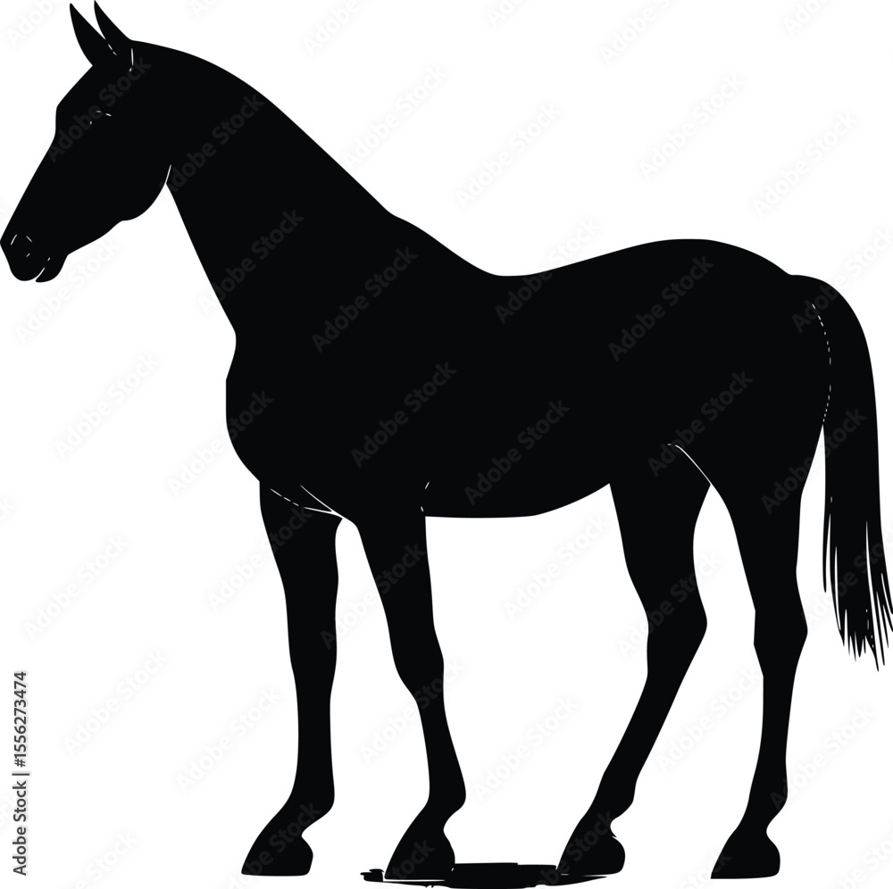 Obraz premium Elegant black horse vector silhouette profile illustration design