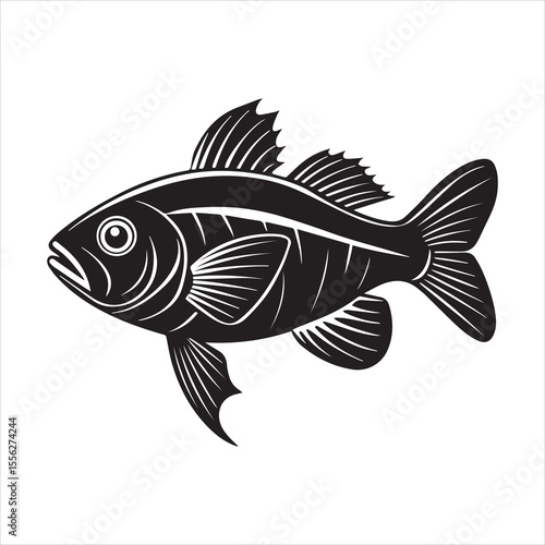 basa sea fish vector illustration