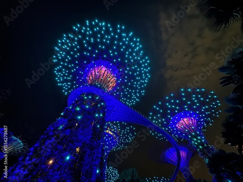 Gardens by the Bay Supertree Grove View, Singapore
