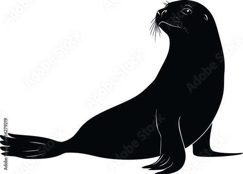 Elegant Vector Silhouette Sea Lion Profile Illustration