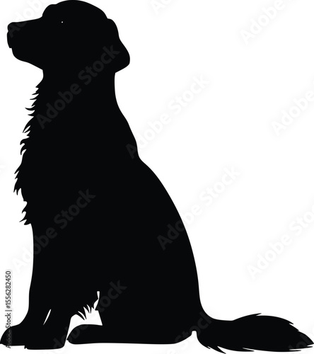 Elegant vector silhouette of a dog sitting patiently