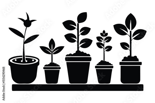 Six Black Silhouettes Plants in Pots on Shelf potted plants