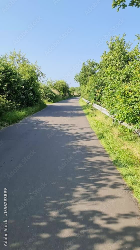 Serpentine asphalt road weaving through verdant farmland, stretching beneath expansive azure sky with sunlight casting gentle shadows across rural landscape Serpentine asphalt road weaving through verdant farmland, stretching beneath expansive azure sky with sunlight casting gentle shadows across rural landscape