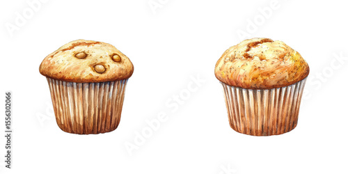 muffin watercolor vector illustration