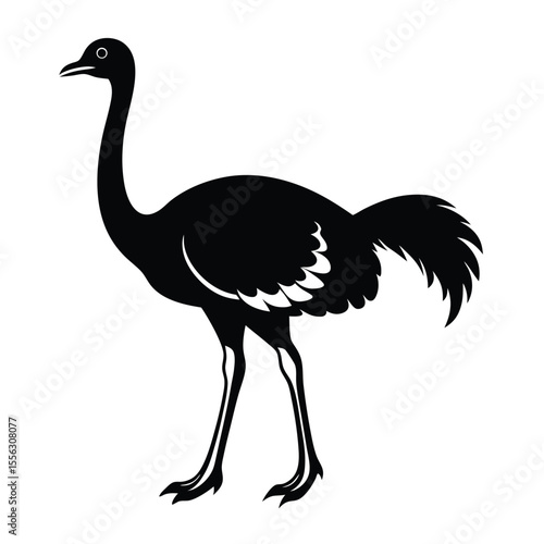 Ostrich silhouette-icon--vector-on-white-background