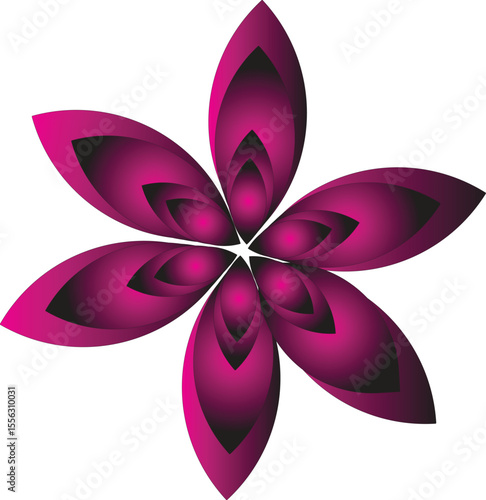 A pink and black flower with six petals on black background