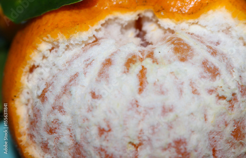 Half peeled tangerine. Partially peeled citrus. Uncovered tangerine. Tangerine half peeled.