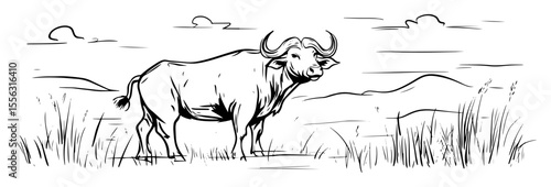 wild buffalo in african savannah hand drawn vector