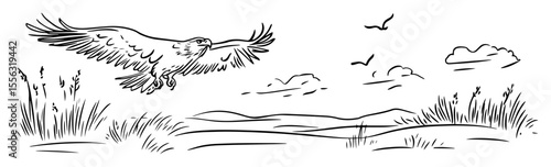 hand drawn eagle flying over savanna – vector line art