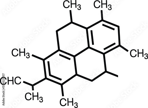 Complex Polycyclic Aromatic Hydrocarbon Molecular Structure Detailed Illustration of a Tetracyclic Compound with Methyl Substituents