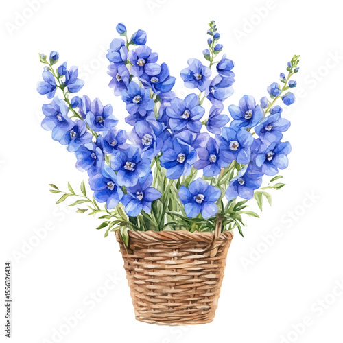 A Delphinium Flower Basket, watercolor painting vector, isolated on a white background.