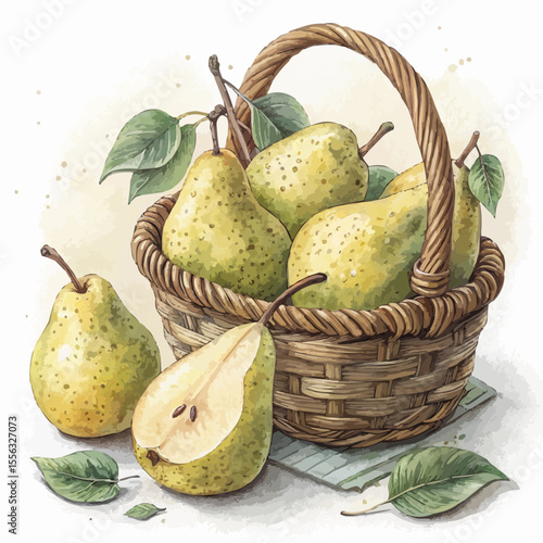 Ripe pears in a rustic wicker basket with curled stems. Watercolor and charcoal texture, warm soft light, pastel palette, realistic illustration, isolated on white.

