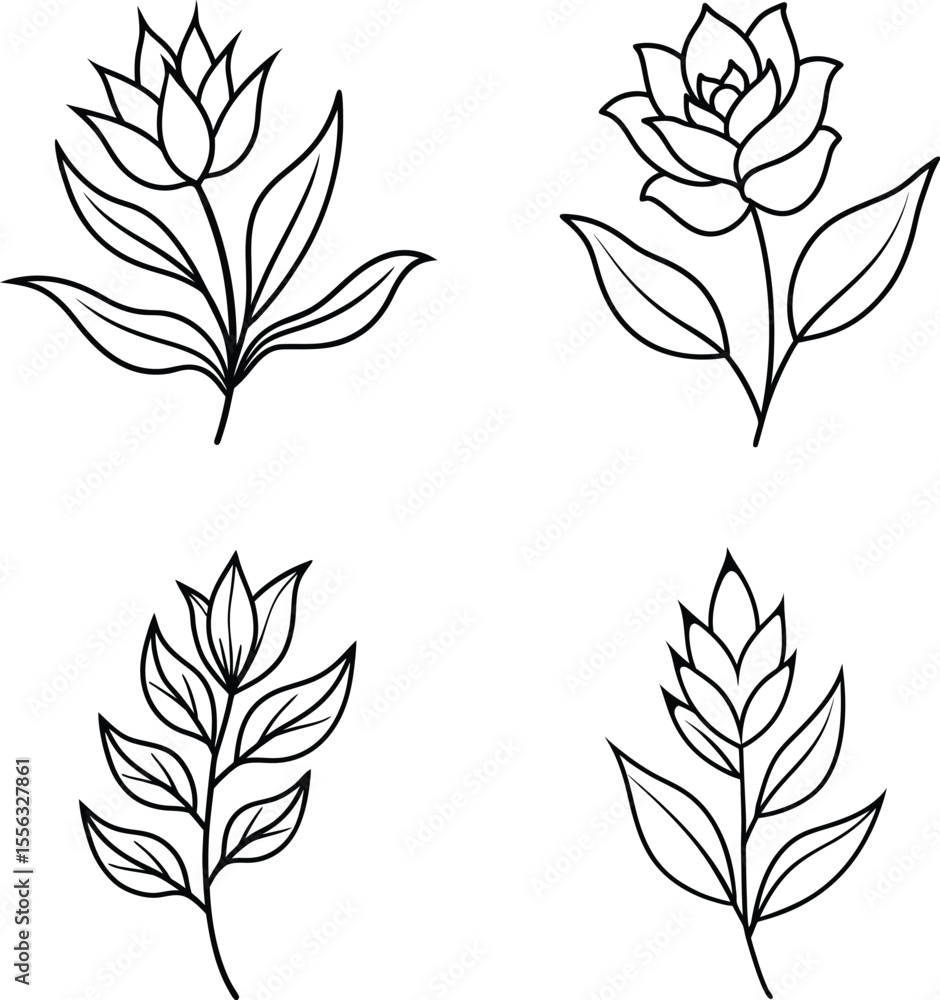 Botanical flower and elements hand drawn line art Botanical flower and elements hand drawn line art