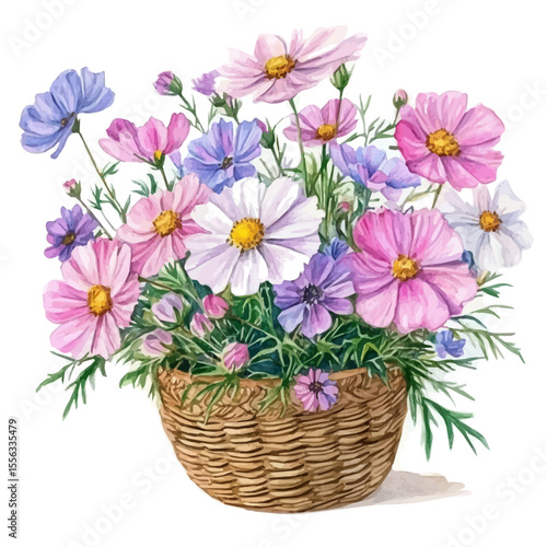A Cosmos Flower Basket, watercolor drawing vector, isolated on a white background.