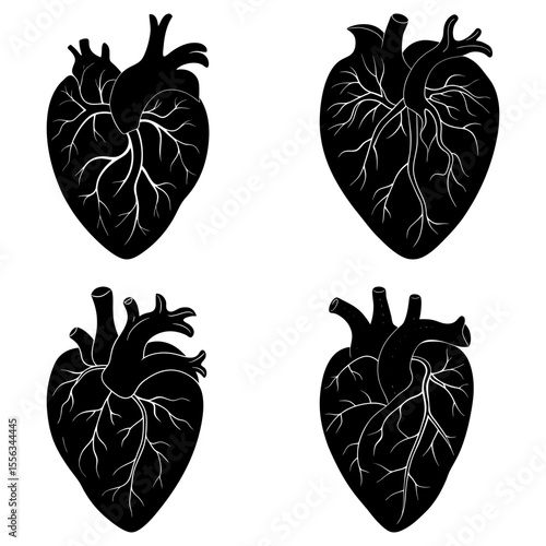 Four anatomical heart illustrations in black and white showing arteries and veins in a pattern design