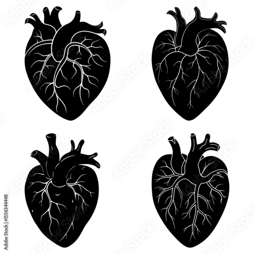 Four anatomical heart illustrations in black and white showing veins and arteries on a white background
