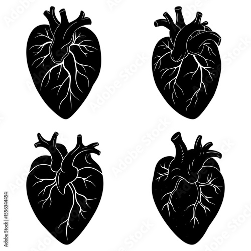 Four anatomical hearts in black and white showing the ventricles and arteries in a pattern design layout
