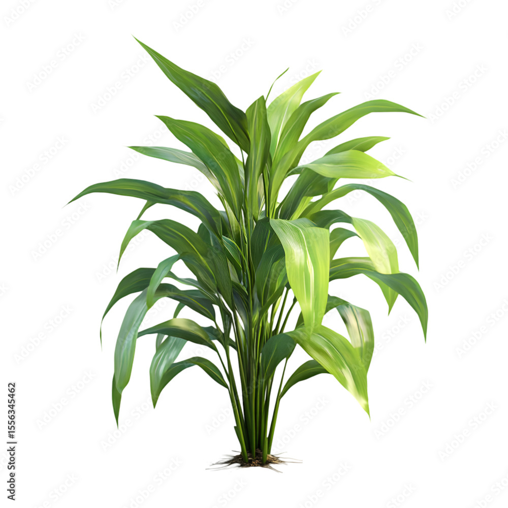 Fototapeta premium Lush, vibrant plant with broad leaves.