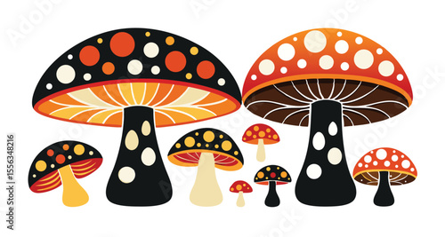 mushrooms in the woods
