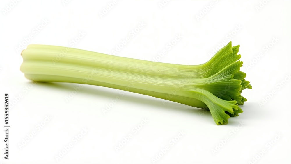 Fototapeta premium fresh green celery