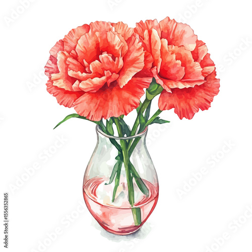 A Carnation In A Vase, watercolor painting vector, isolated on a white background.