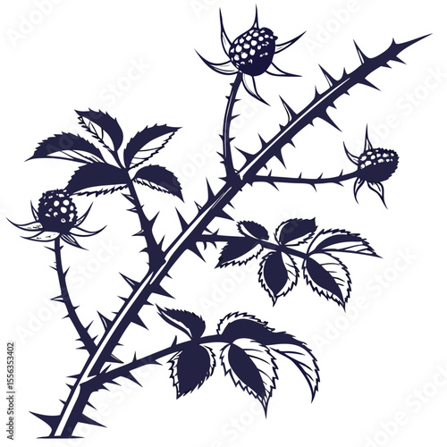 vector silhouettes of bramble