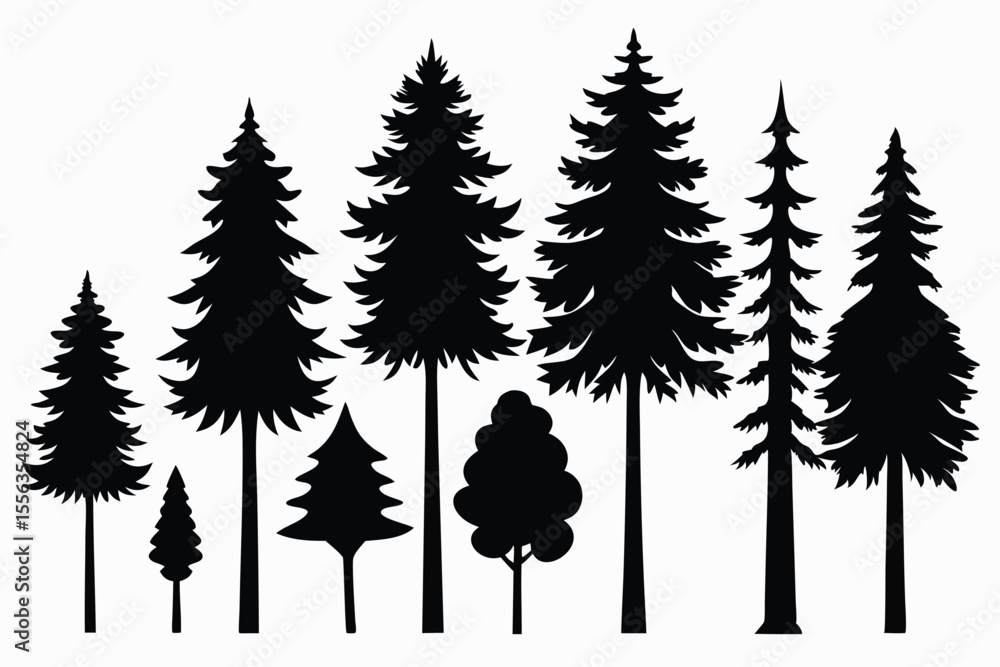 Fototapeta premium Silhouettes of various evergreen trees in a forest